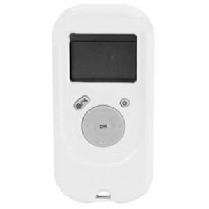 Dolphin Basic Wireless Remote 9993179-R1 - MVP Pools LLC